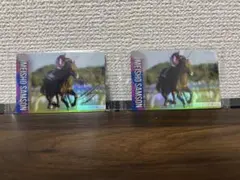 サラブレッドホースコレクション　 メイショウサム サイン＆ノーマルカードセット