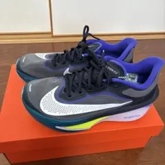 NIKE Zoom Fly 6 26.5cm グレー/ブルー
