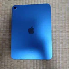Apple iPad 本体 青