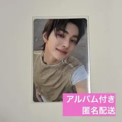 cortis タレントカード