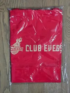 大阪エヴェッサ バスケットボール