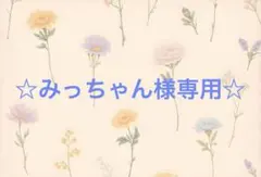 スイカ　あみぐるみ　ストラップ　ハンドメイド
