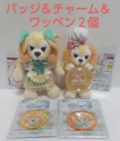 カラフルハピネス　クッキーアン　ぬいぐるみバッジ＆チャーム＆ワッペン２個　TDS