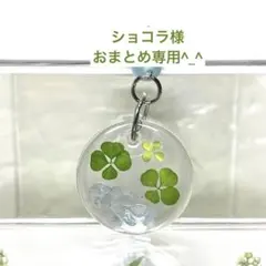 ショコラ様 リクエスト 2点 まとめ商品