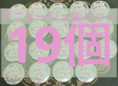 キミとアイドルプリキュア♪ キュアズキューン 缶バッジ アニメージュ 19個