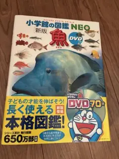 Item thumbnail for item 77511b20-5ced-42c0-bf03-09e2a6600d87