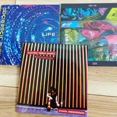 超貴重　オーストラリア製　ディジュリドゥ 約110cm シードゥー RXT-X 255 2008年 製品データバンク｜WEB博物館ボート