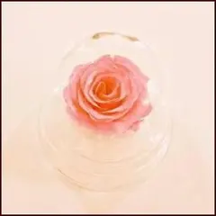 Item thumbnail for item 89189b0b-76a4-44d4-8607-9703ba183f05