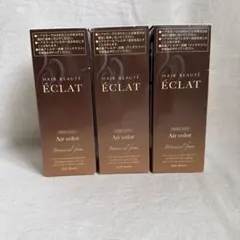 ヘアボーテ エクラ ボタニカルエアカラーフォーム80g×3本のサムネイル