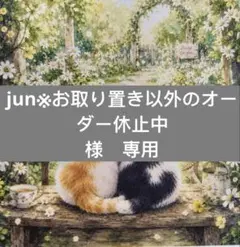 jun※お取り置き以外のオーダー休止中様　専用