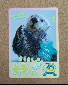 2025年最新】鳥羽水族館 70周年の人気アイテム - メルカリ