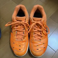 YONEX バドミントンシューズ 桃田賢斗モデルSHB65Z サイズ24.5