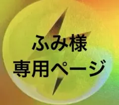 ふみ様　専用ページ　まとめ売り