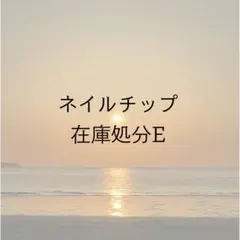 在庫処分＊選べるジェルネイルチップ　お得セットE