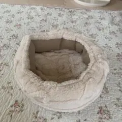 Item thumbnail for item 352841fb-3cab-4936-8940-59fc21f90e1f