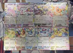 【おまけ付き】 ブイズ 9枚セット RR仕様 まとめ売り