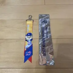 中日ドラゴンズ FCボンフィンキーホルダー 1994ドアラ