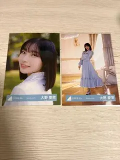 大野愛実生写真セット