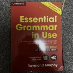 グラマーインユース