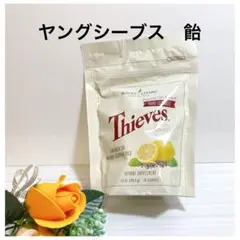 2025年最新】ヤングシーブスの人気アイテム - メルカリ