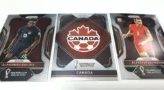 panini Qatar 2022 カナダ　アルファンソ・デイビス