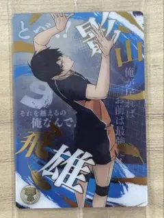 ハイキュー ウエハース6 No. 24 影山飛雄 スペシャルレア