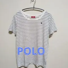 POLO Tシャツ ポロビーシーエス&カイタックファミリー