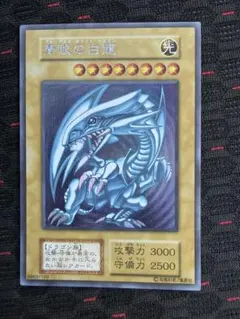 遊戯王　ブルーアイズホワイトドラゴン　シクブル　鑑賞用