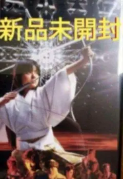 新品未開封 里見八犬伝 DVD