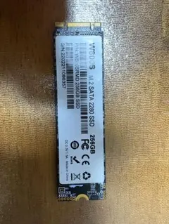M600S M.2 SATA 2280 SSD 256GB