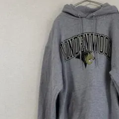 チャンピオンパーカー grey