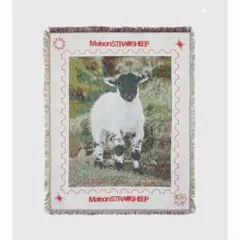 【美品】MAISON STARAYSHEP STRAYSHEEP RUG
