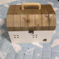サリュ　おうちシリーズ　木製家型収納ボックス