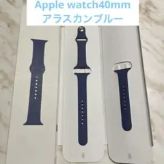 Apple Watch 40mm /アラスカンブルースポーツバンド
