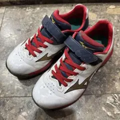 トレーニングシューズ 20