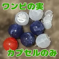 ワンピの実 カプセルのみ 7個セット