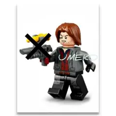 正規品 レゴ 新品 ジュラシックワールド レインデラコート（麻酔銃なし）製造終了