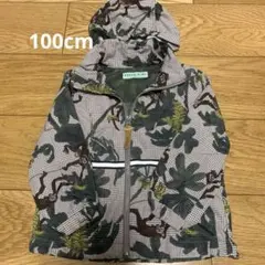 ウインドブレーカー 100