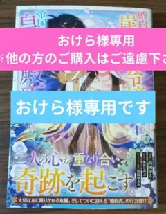 婚約破棄された崖っぷち令嬢は、帝国の皇弟殿下と結ばれる 4