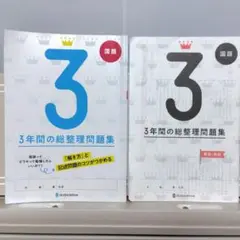 2025年最新】総整理問題集の人気アイテム - メルカリ