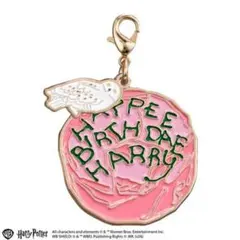 ハリーポッター　ダイキャストダブルチャームコレクション