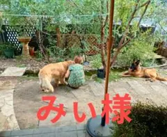 みぃ様オーダーページ