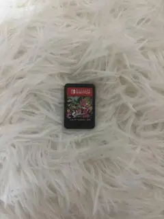 ニンテンドースイッチ カセット