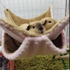 Item thumbnail for item 4b427de7-b0c3-4aec-9897-031f3d3ffd88