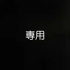 チサト様　専用