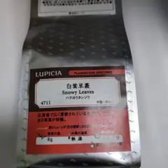 Item thumbnail for item 74e676b4-fc9e-414d-b17b-fc20a018a3b4