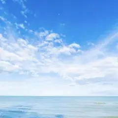 専用