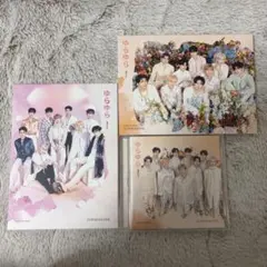 ZEBRAZONE ゆらゆら CD アルバムセット