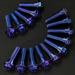 64チタン M8×30mm 14本 ブレーキ ディスク ボルト GP m1434 64チタン M8×30mm 14本 ブレーキ ディスク ボルト GP m1434 - メルカリ