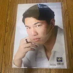 Item thumbnail for item b81ceadf-f795-46ff-a180-becfa6655402